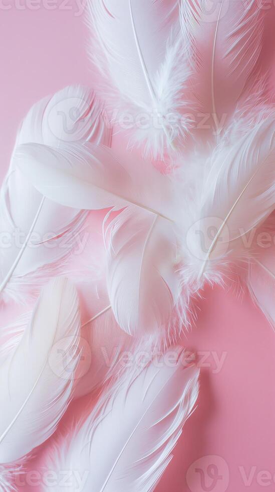 Soft white feathers on a pink background, perfect for themes of softness photo