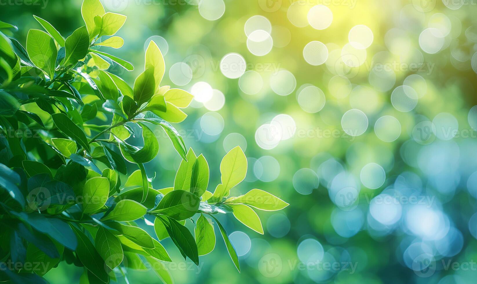 Green leaves against a blurred background with bokeh, perfect for themes of nature, spring, and freshness. photo