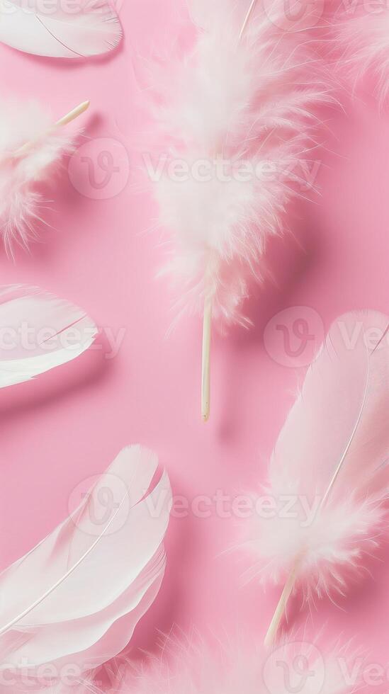 Soft white feathers on a pink background, perfect for themes of softness photo