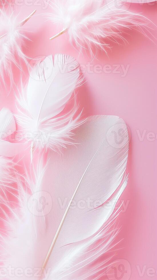 Soft white feathers on a pink background, perfect for themes of softness photo