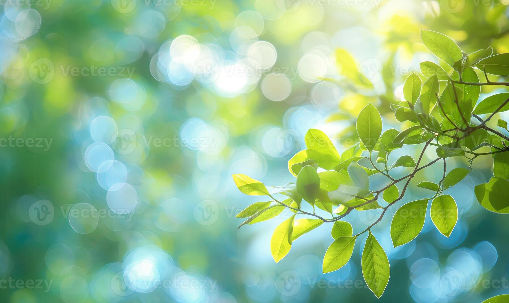 Green leaves against a blurred background with bokeh, perfect for themes of nature, spring, and freshness. photo