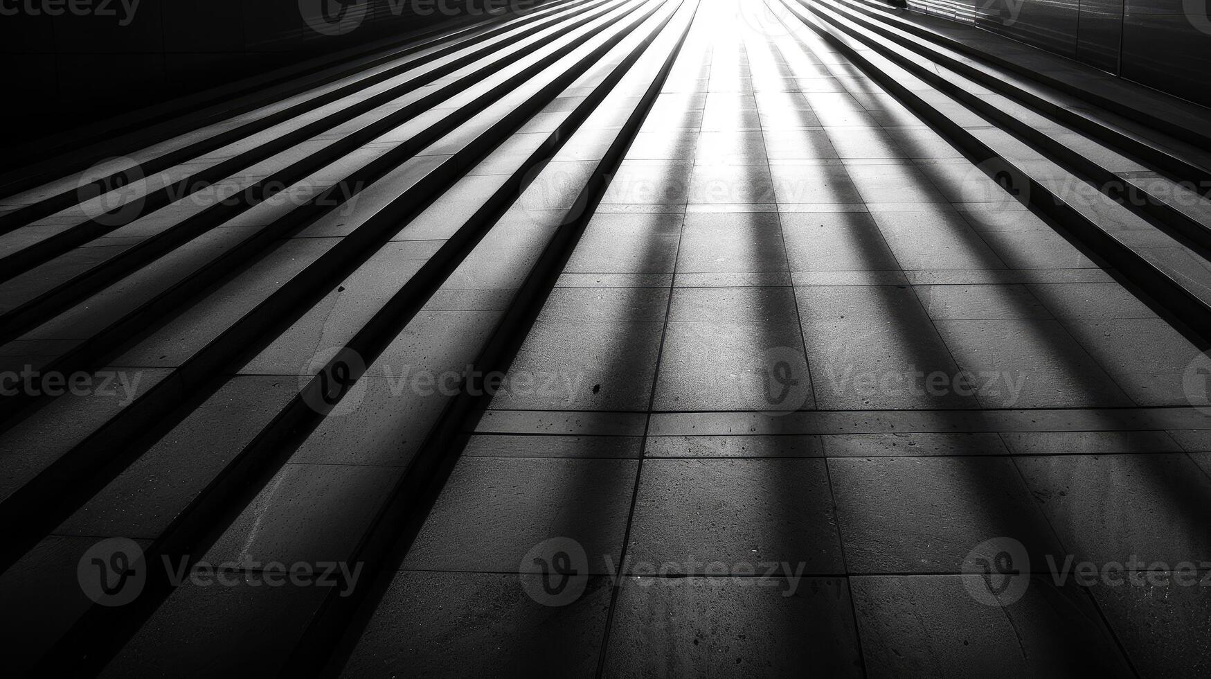 Shadows and Light A Path to the Bright Horizon photo