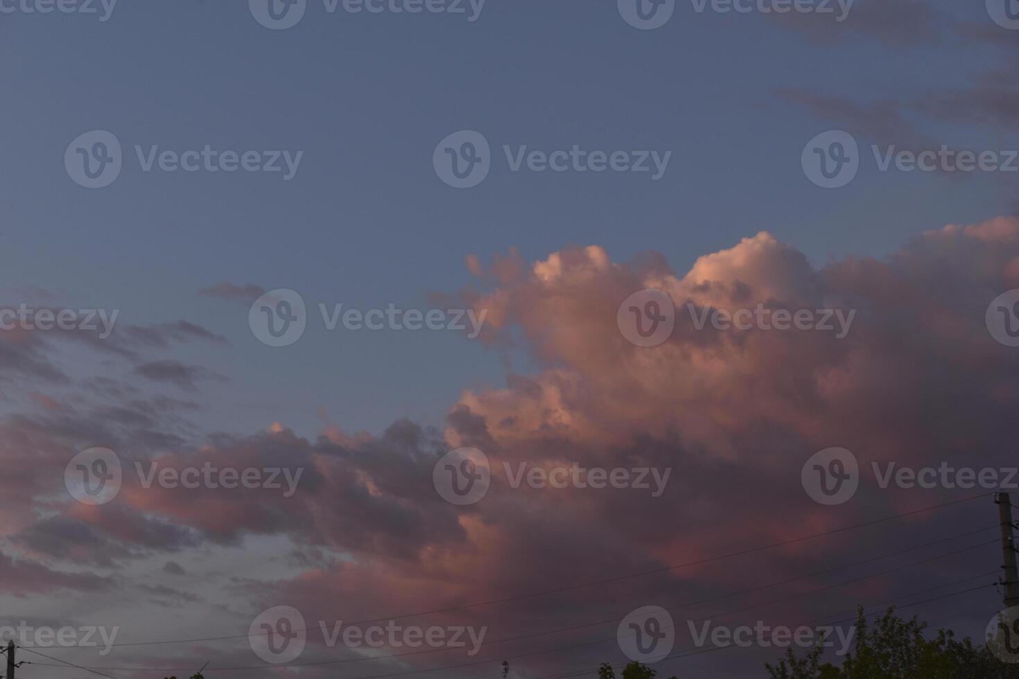Pink and white clouds in the evening summer sky. Cumulus clouds. photo