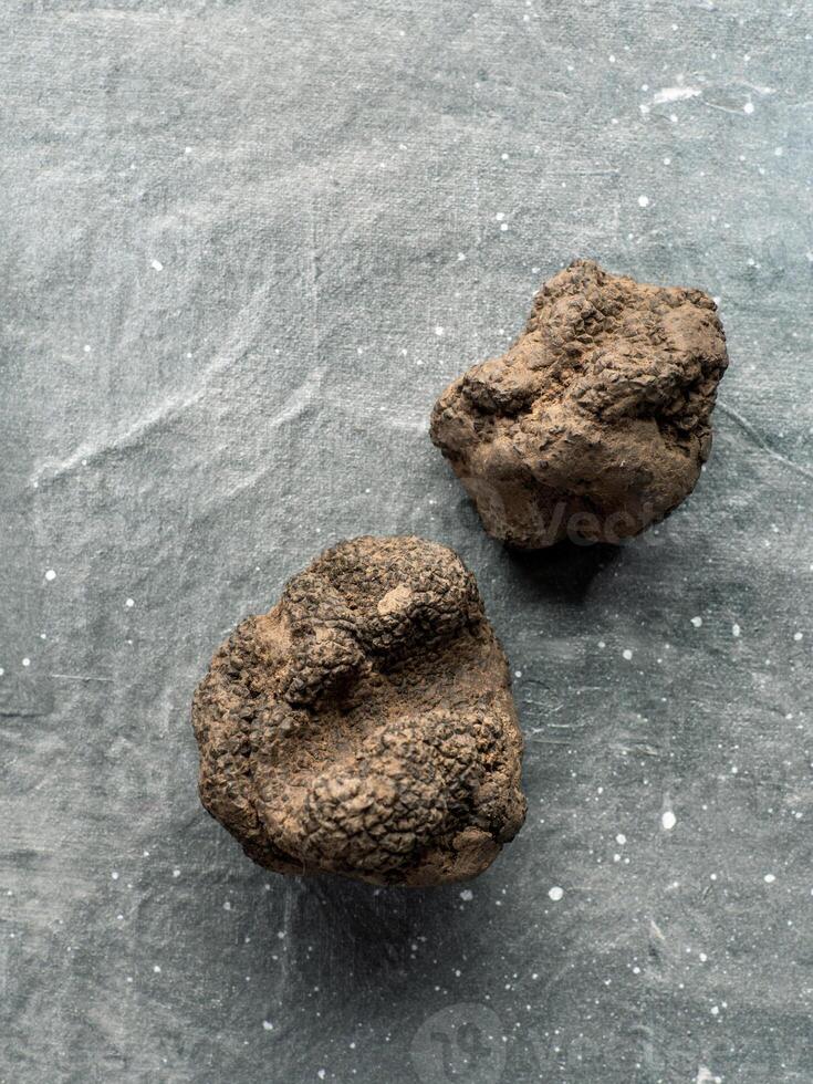 Black truffle mushroom on gray background photo