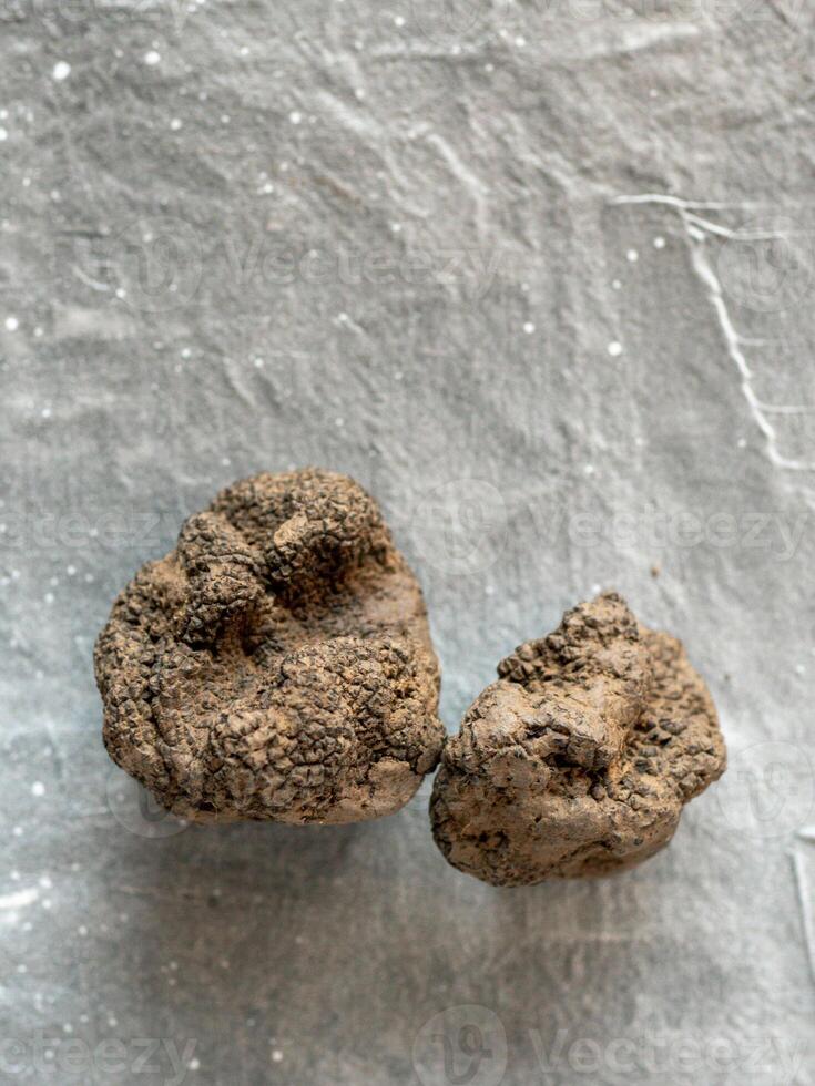 Black truffle mushroom on gray background photo