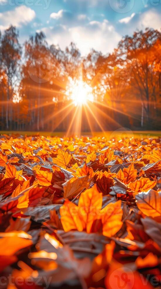 Poster with serene park with vibrant orange and yellow trees at sunset, with leaves crunching underfoot. Ideal for promoting autumn events, outdoor activities, and nature appreciation photo