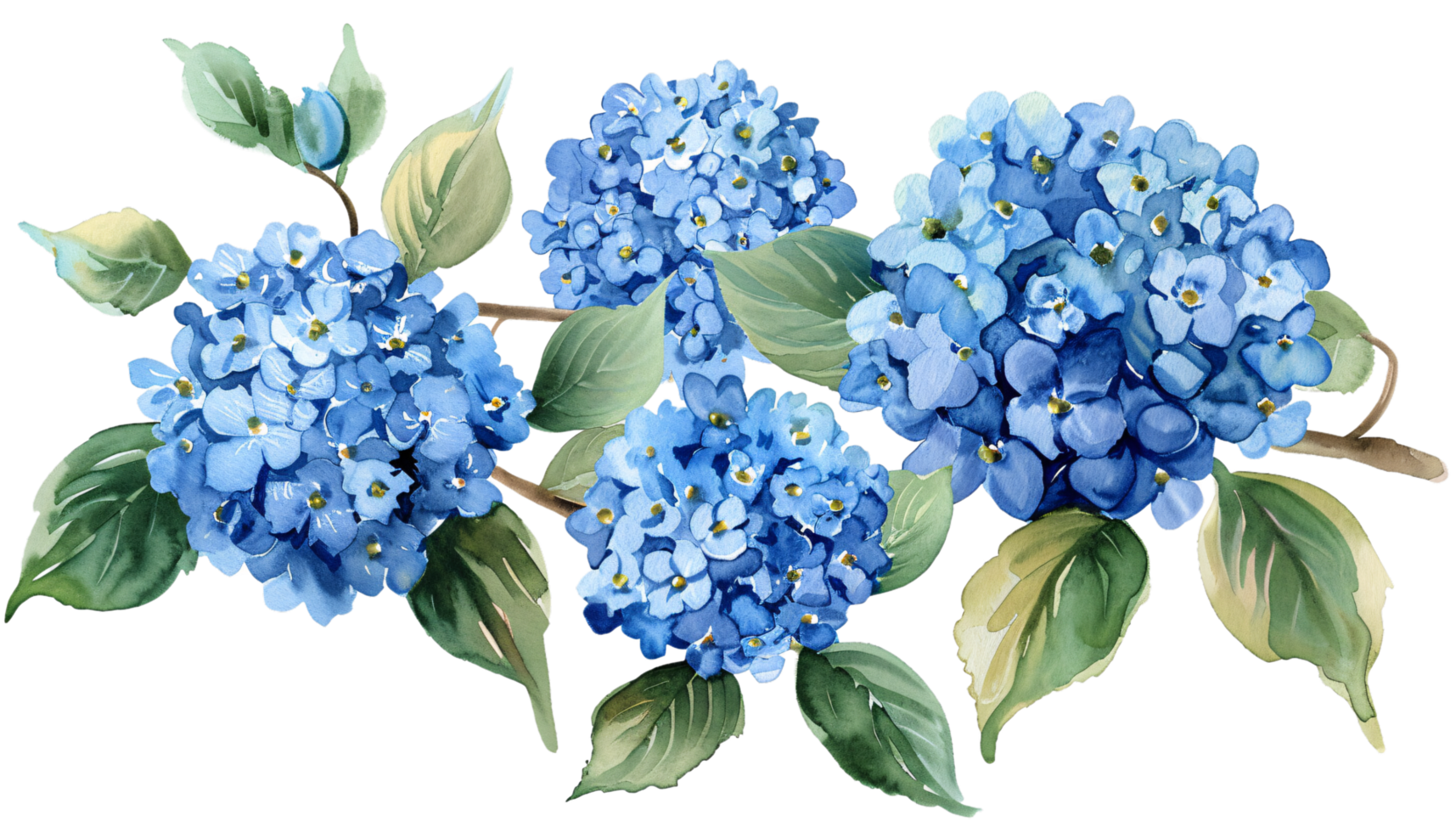 Beautiful Watercolor Clipart of a Flower for Artistic Designs png