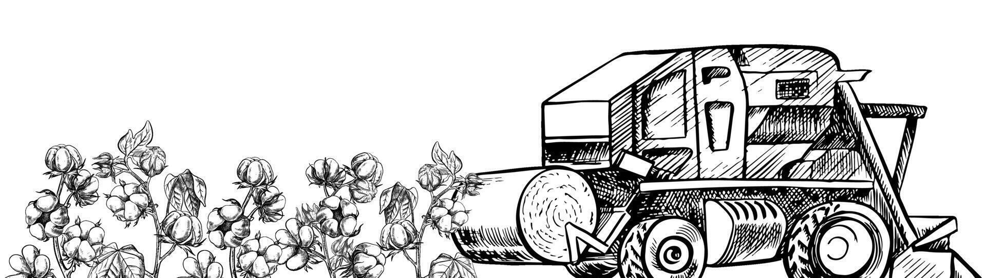 A border with cotton and a cotton harvester. A black and white graphic illustration made by hand. For labels, packages, flyers. For postcards, banners and prints. vector