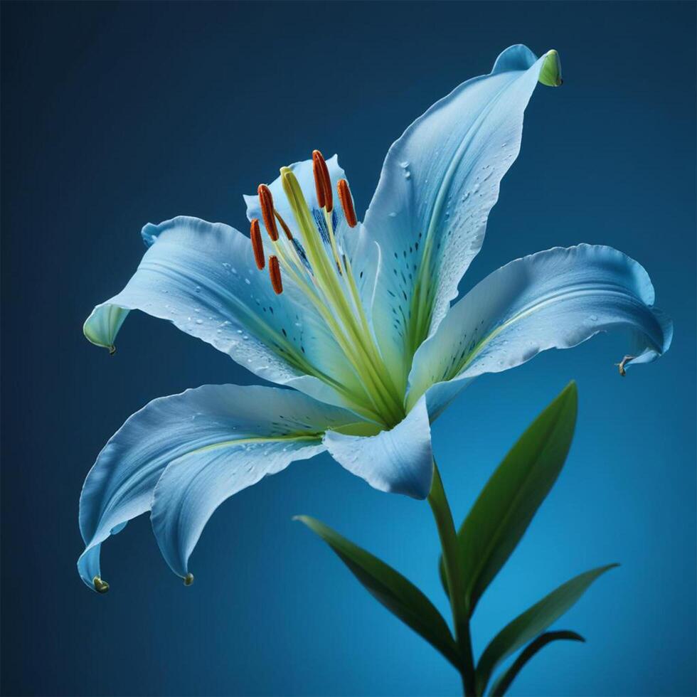 lily flower with plain background cinematic view photo