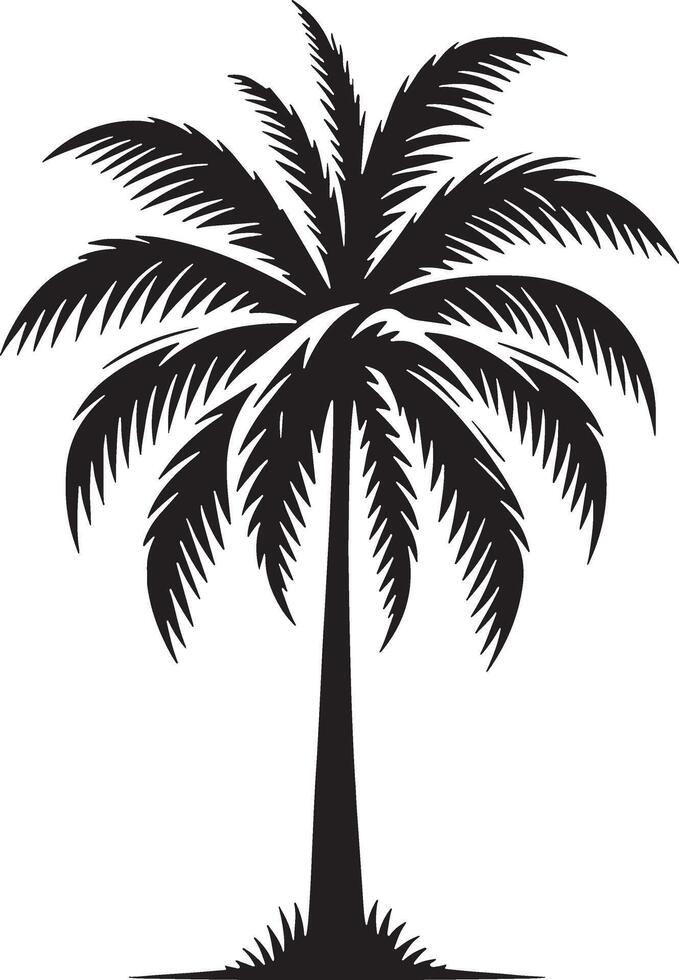 Palm tree silhouette illustration design editable vector