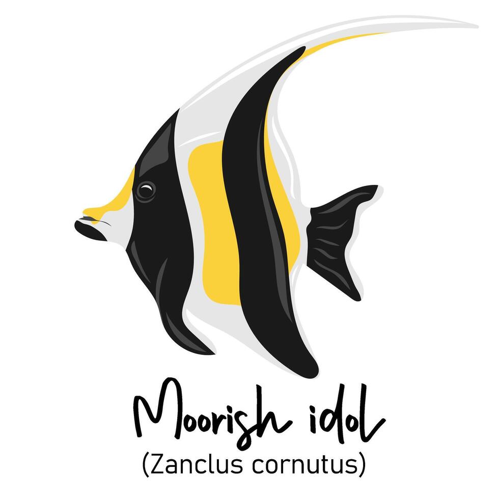 Moorish idol or Zanclus cornutus. Marine dweller with colorful body and fins for swimming vector
