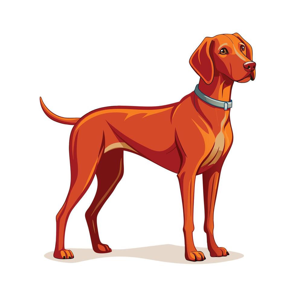 Realistic Illustration of Popular Pet Dogs vector