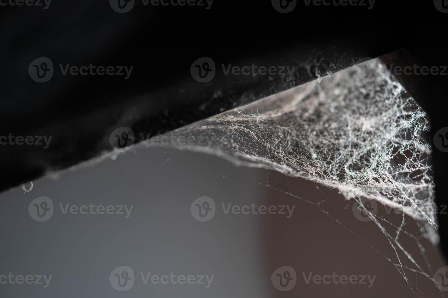 Spider web in a dark corner photo