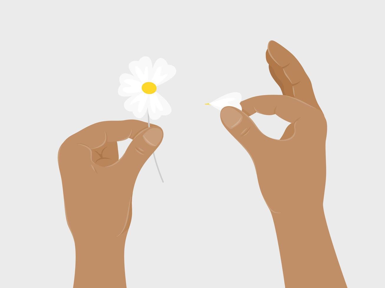 Human hands picking flower petals. vector