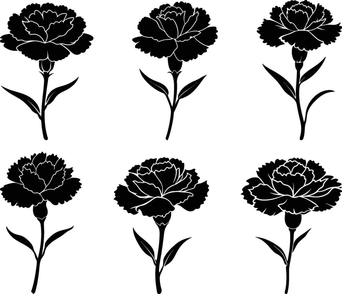 Set of decorative carnation silhouettes isolated on white vector