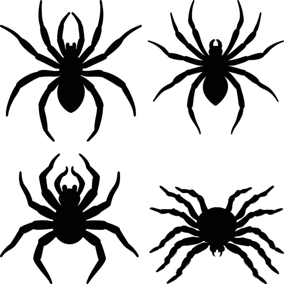 Set of Spider Silhouettes on White Background, spider silhouette, Spider Silhouette Compilation on White Background vector