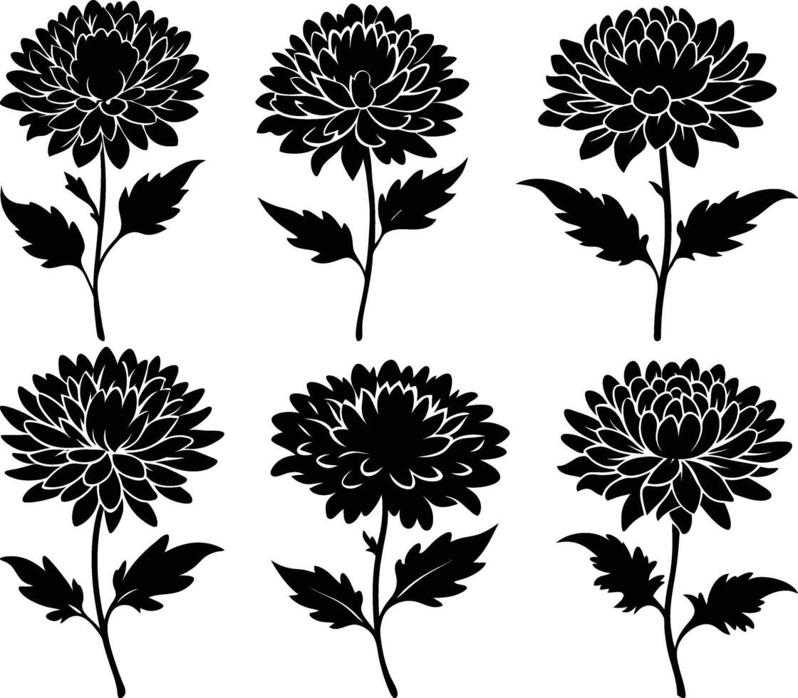 Assortment of Chrysanthemum Silhouette Designs vector