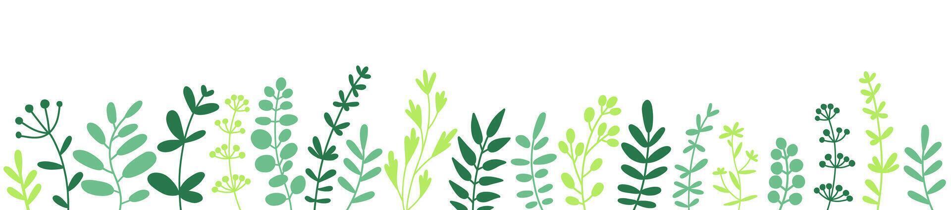Herbs, twigs and leaves. Herbal border, horizontal bottom edging. Design element, flat illustration on white. vector