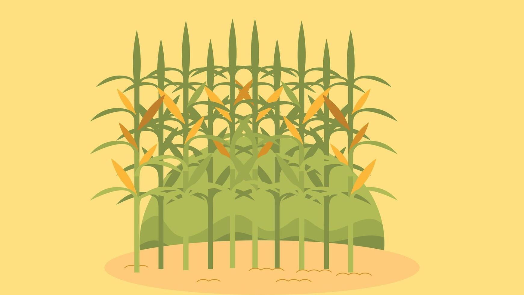Farming field and agriculture concept illustration vector