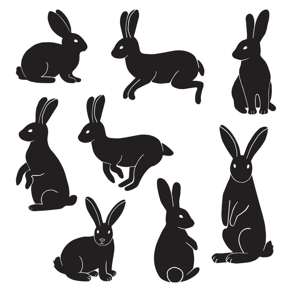 Rabbit Set, Isolated On White Background vector