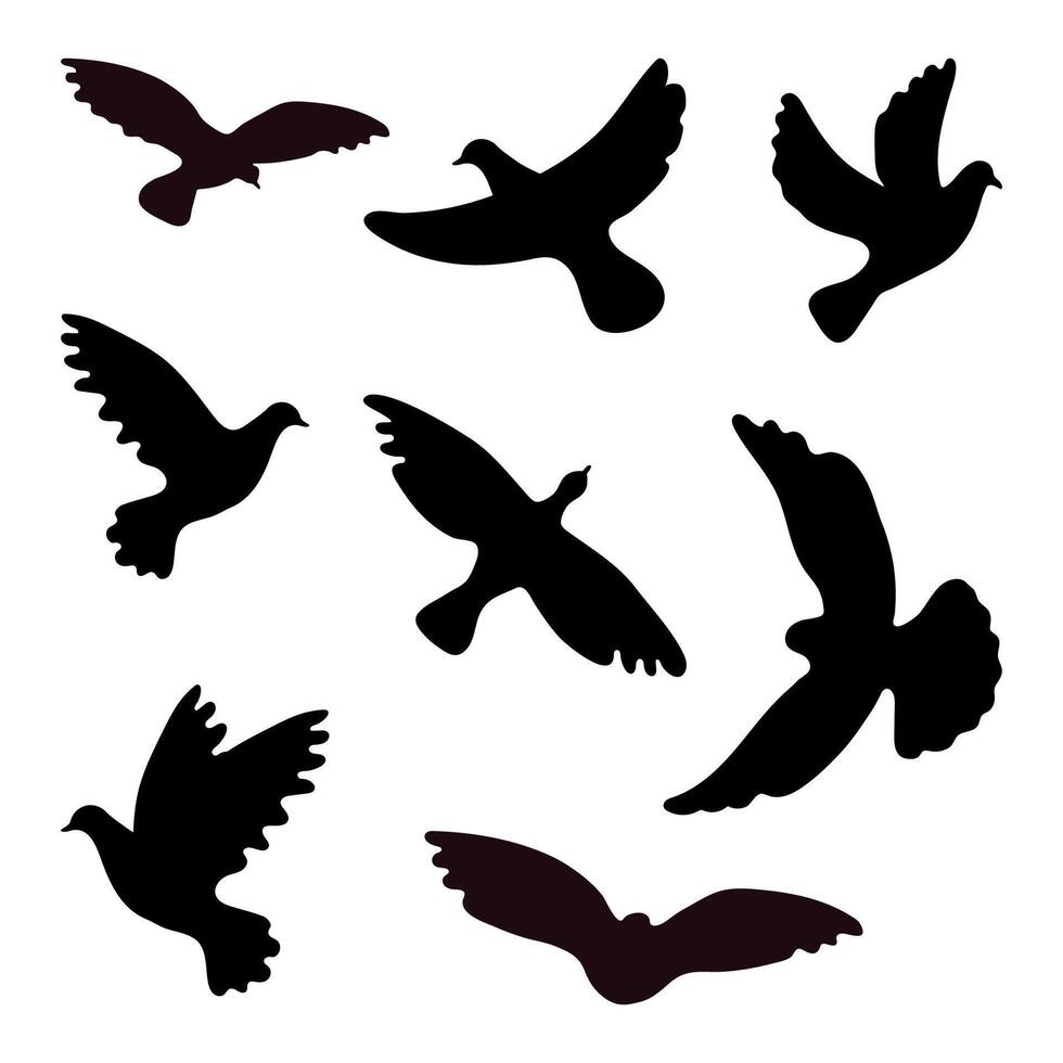 Silhouettes of doves in many different flying positions and angles vector