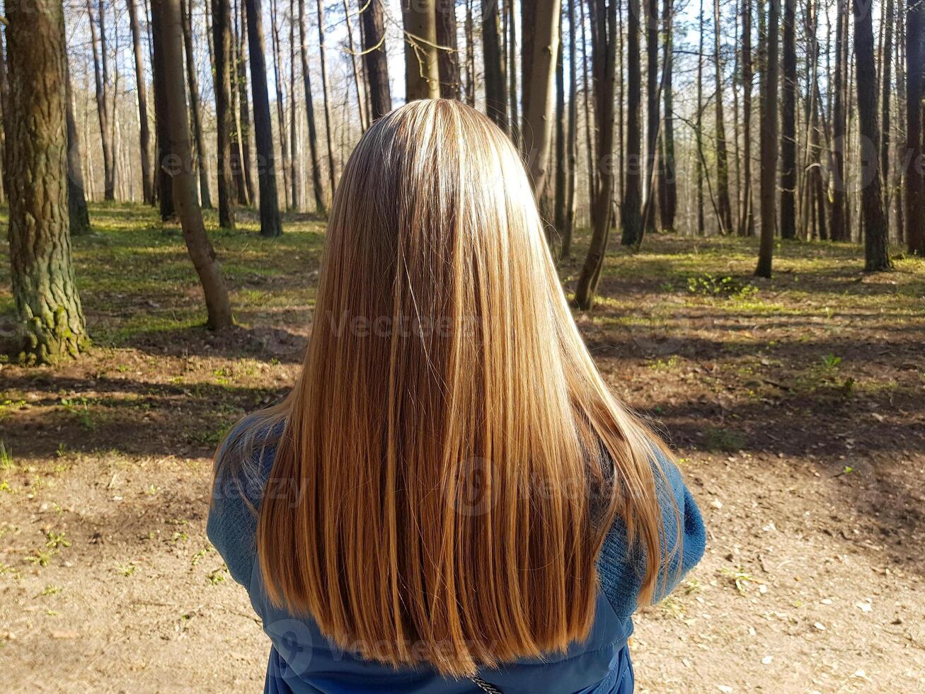 A rearview shot of a beautiful young woman's long red hair. Rear view of a red-haired girl photo