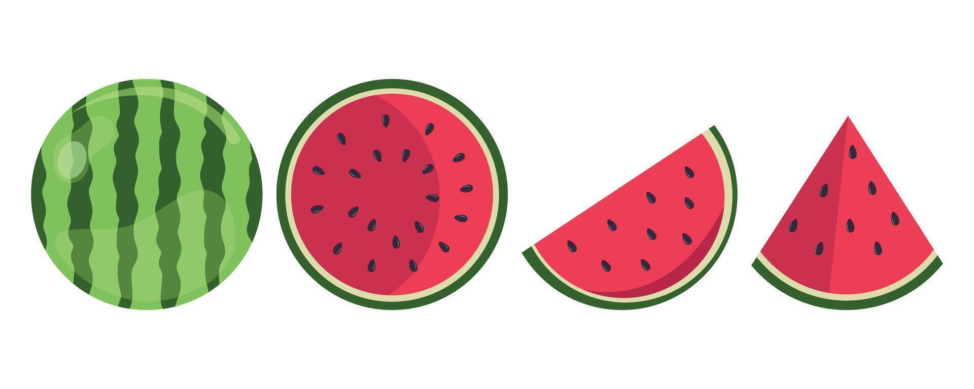 Set of fresh whole half cut slice and piece of watermelon isolated on white background. National Watermelon Day, Vegan food icons, Healthy food concept. vector
