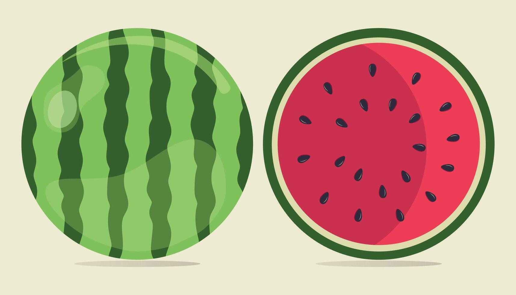 Set of fresh whole half cut slice and piece of watermelon isolated on white background. National Watermelon Day, Vegan food icons, Healthy food concept. vector