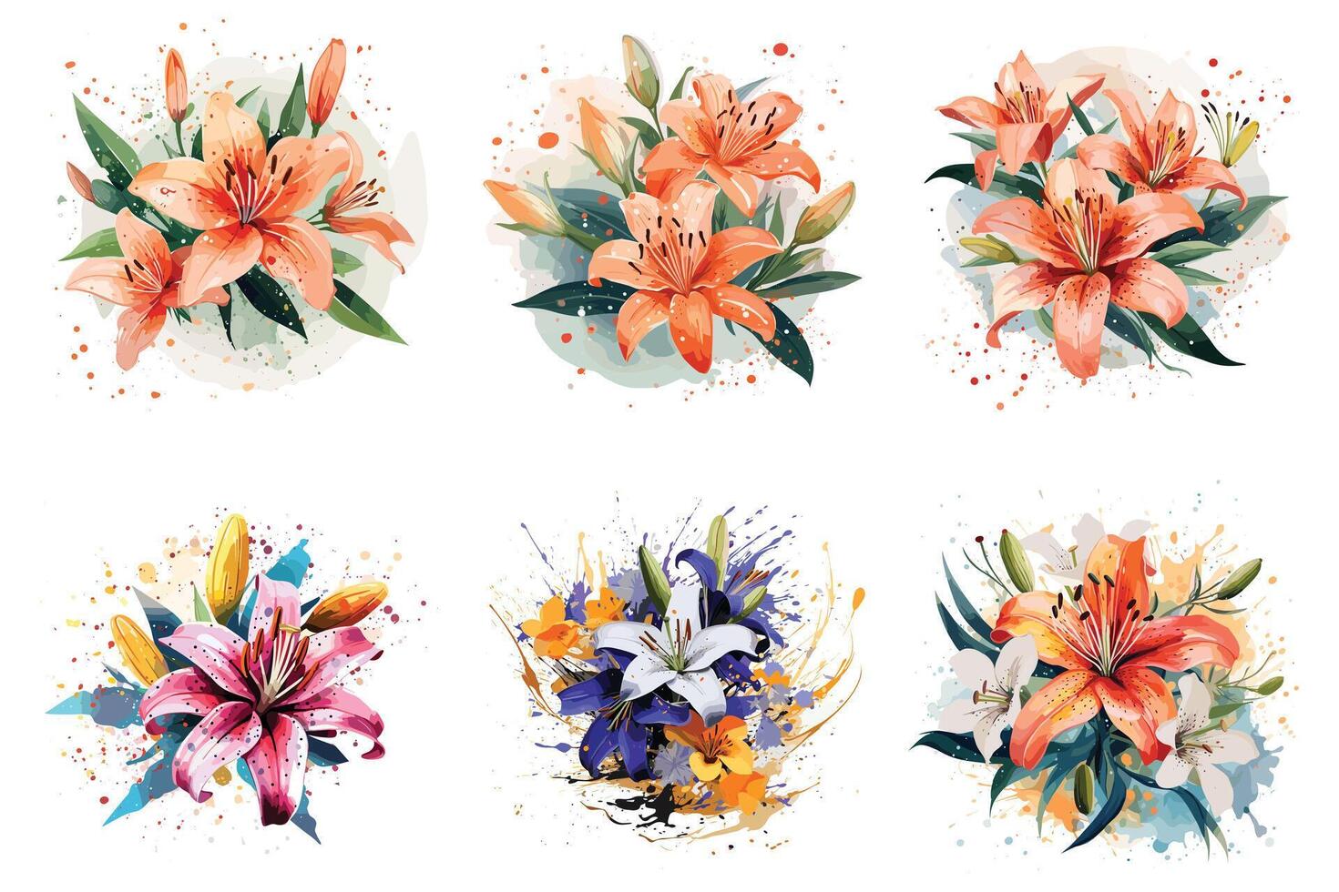 Lily floral watercolor vector