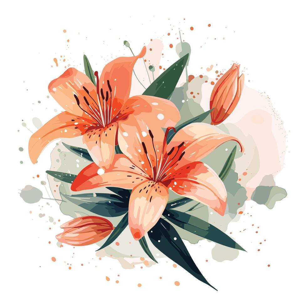 Lily floral watercolor vector