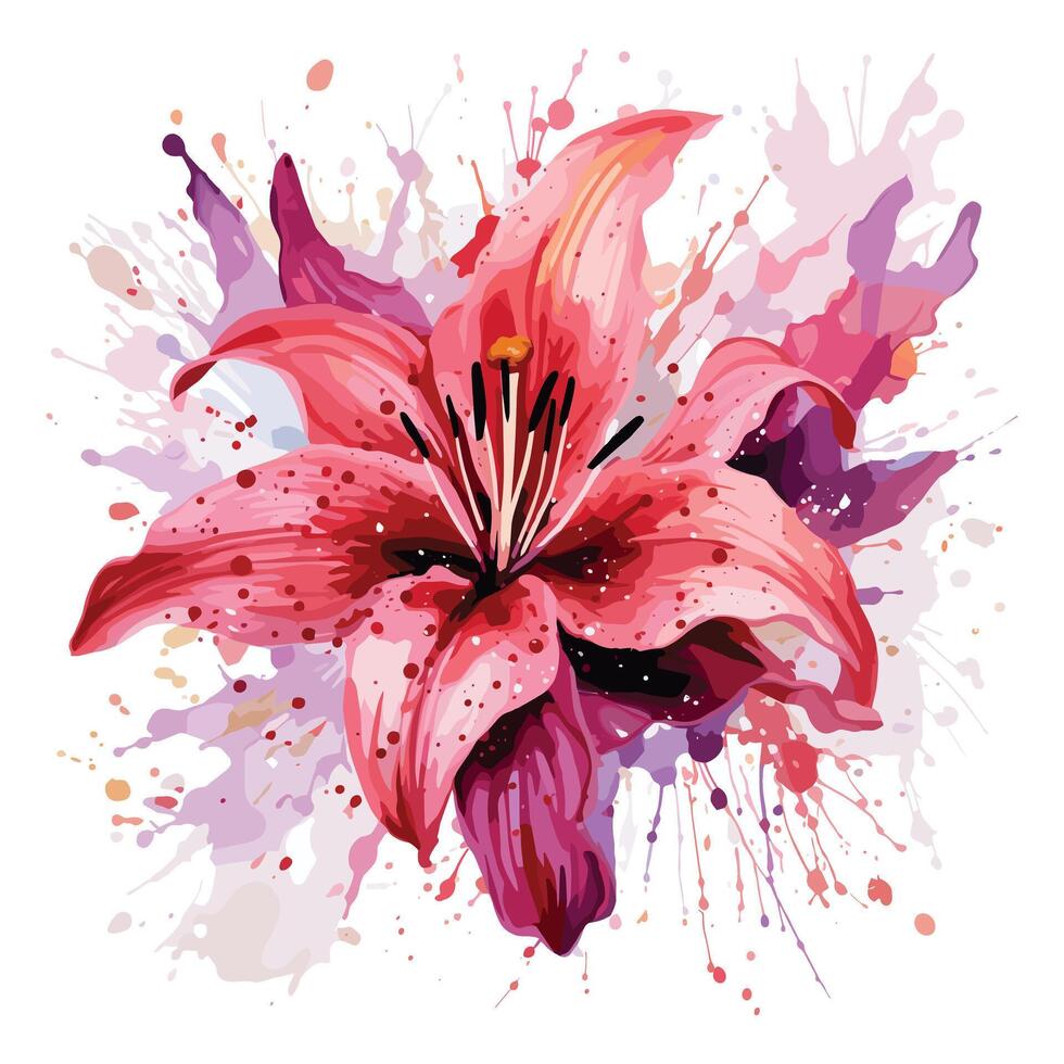 Lily floral watercolor vector