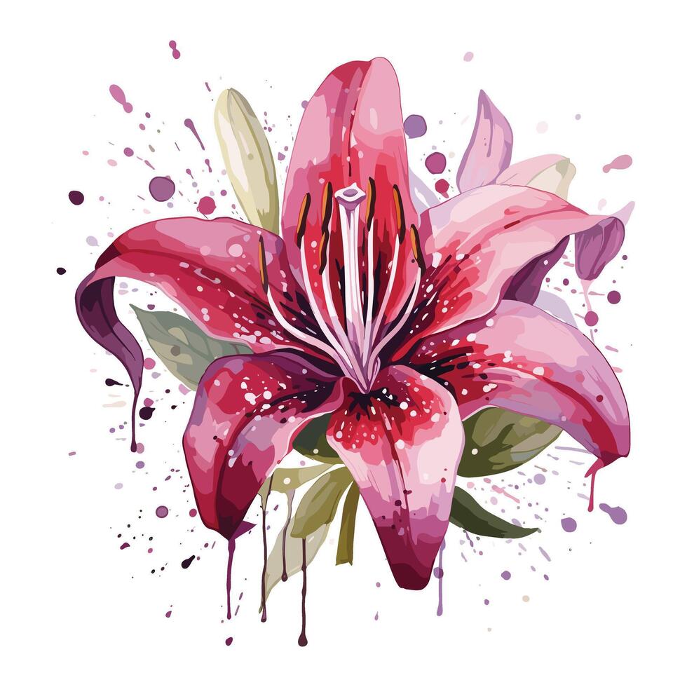 Lily floral watercolor vector