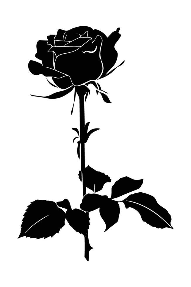 Rose Silhouette . vector