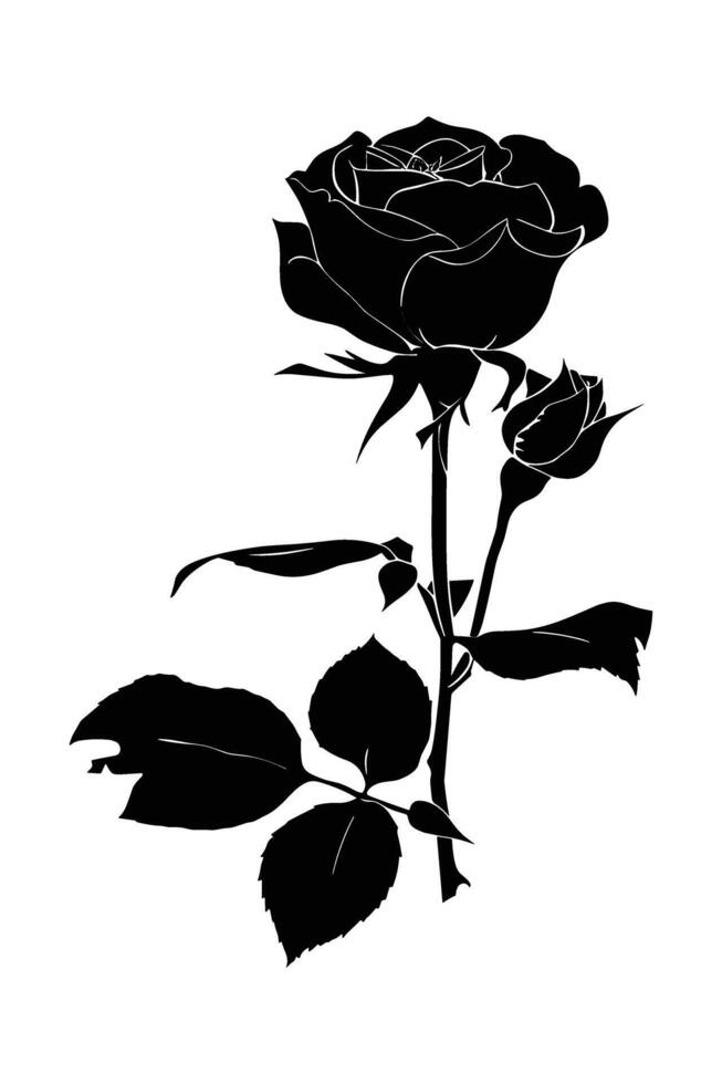 Rose Silhouette . vector
