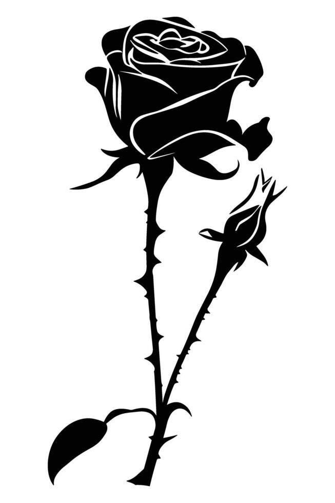 Rose Silhouette . vector