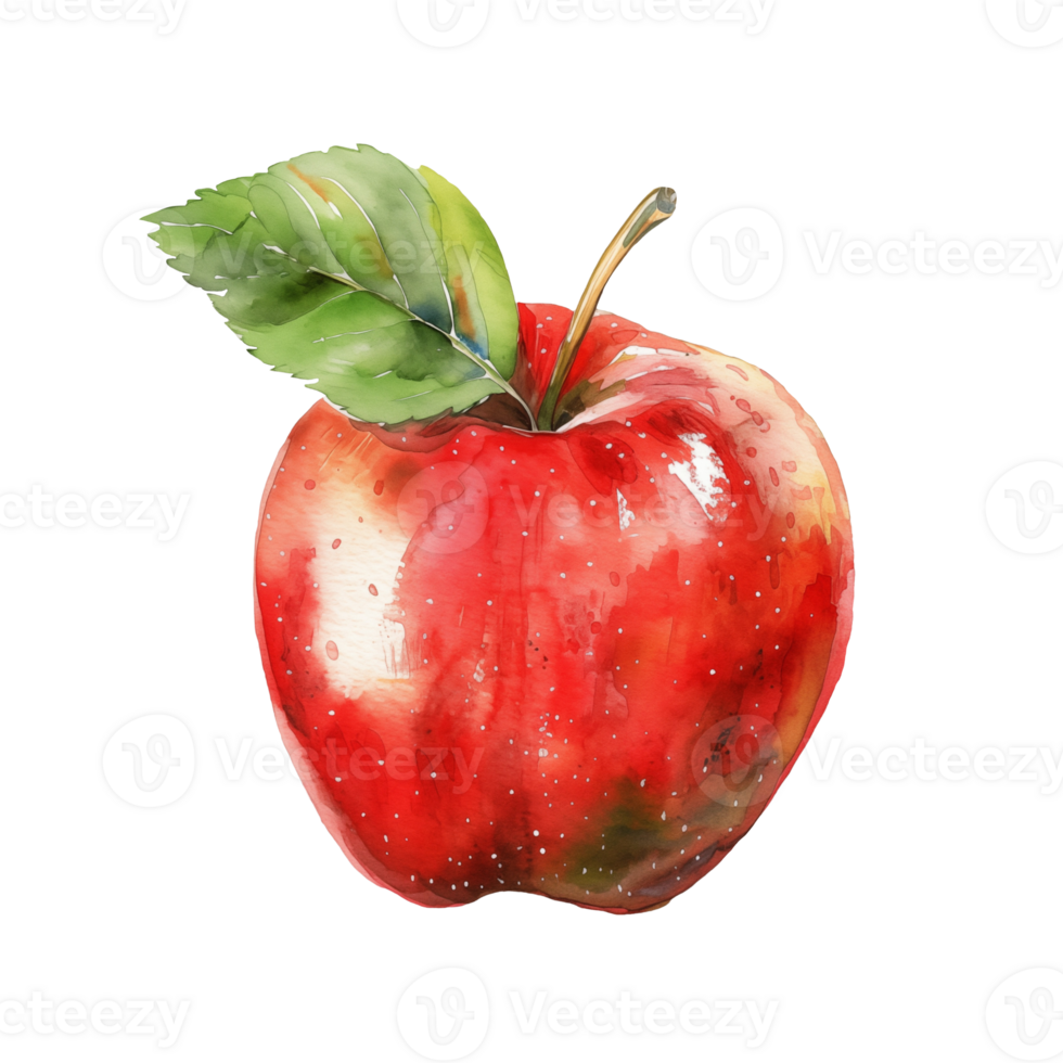 watercolor red apple on isolated background png