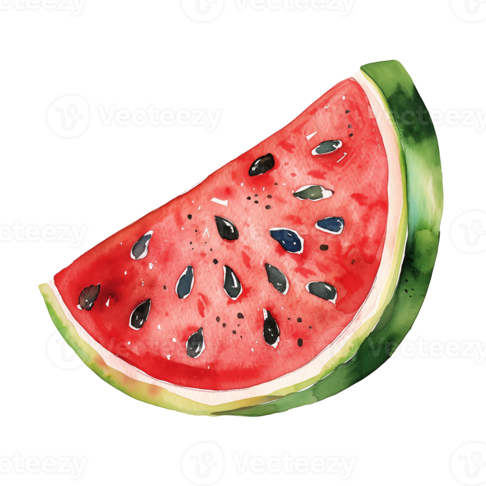 slice of watercolor watermelon isolated png