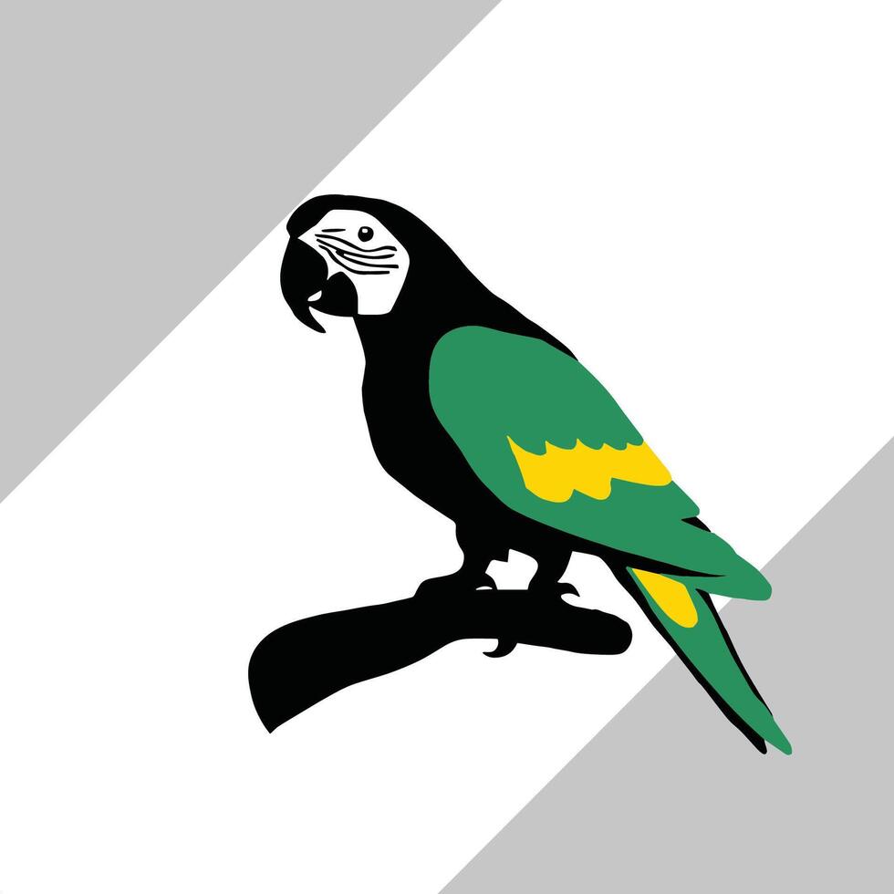 a cute parrot art illustration vector