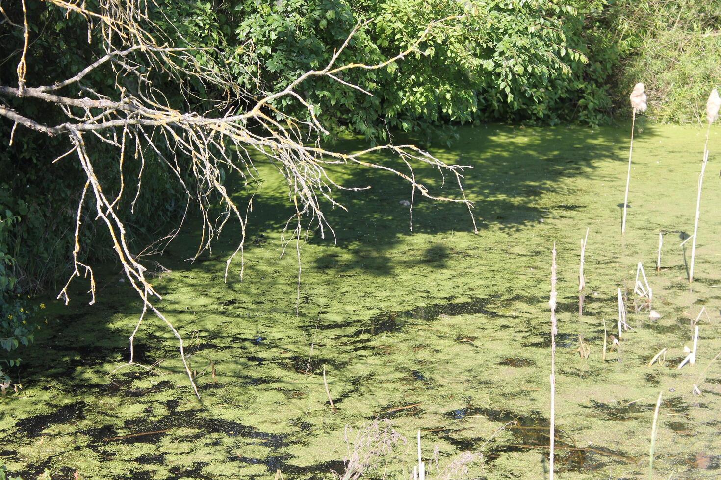 photo of a water theme