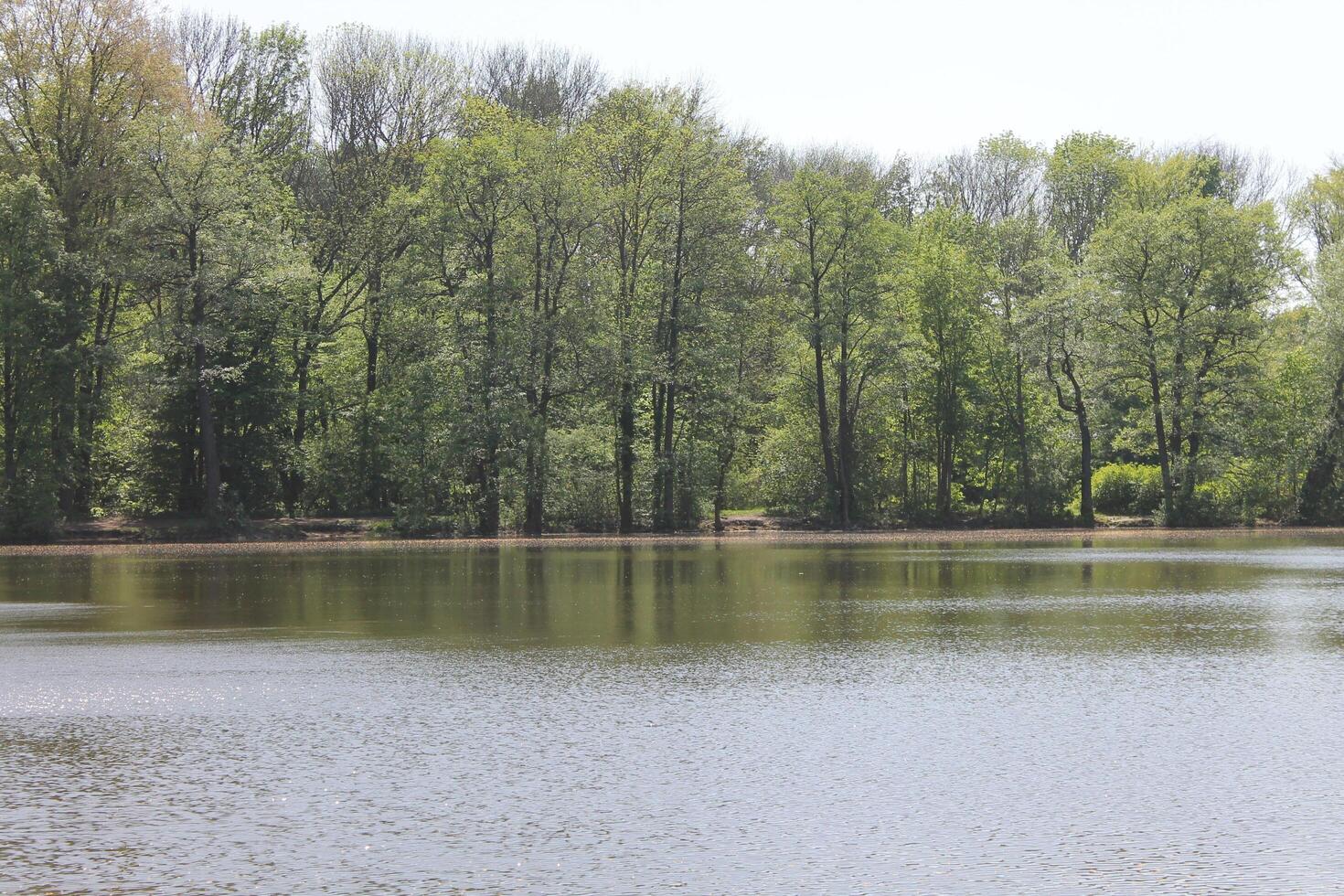 photo of a water theme