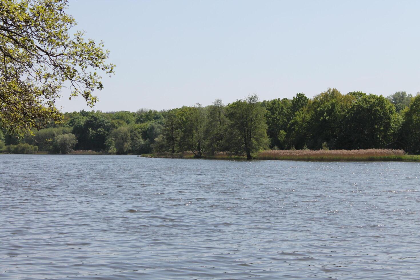 photo of a water theme