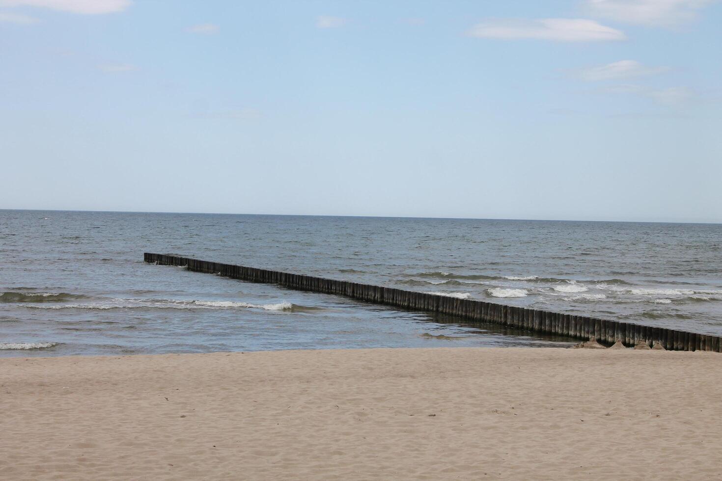 photos of seaside at springtime