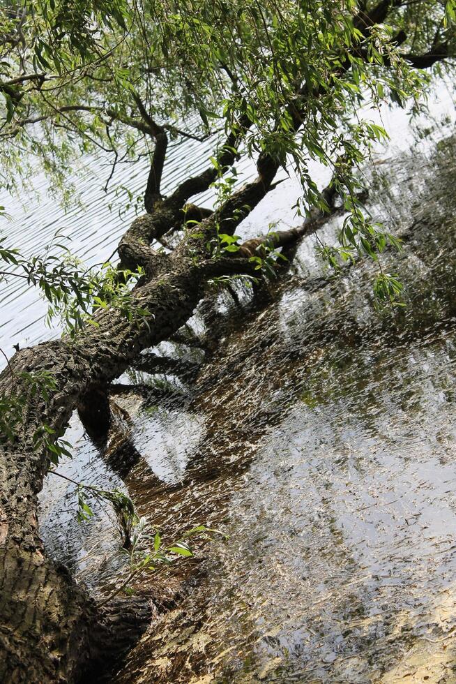 photo of a water theme