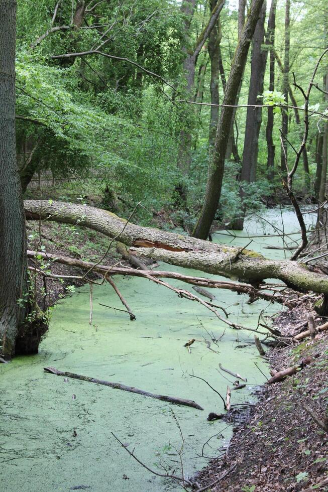 photo of a water theme