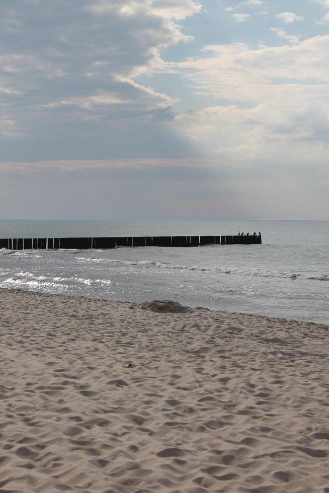 spring beach photo