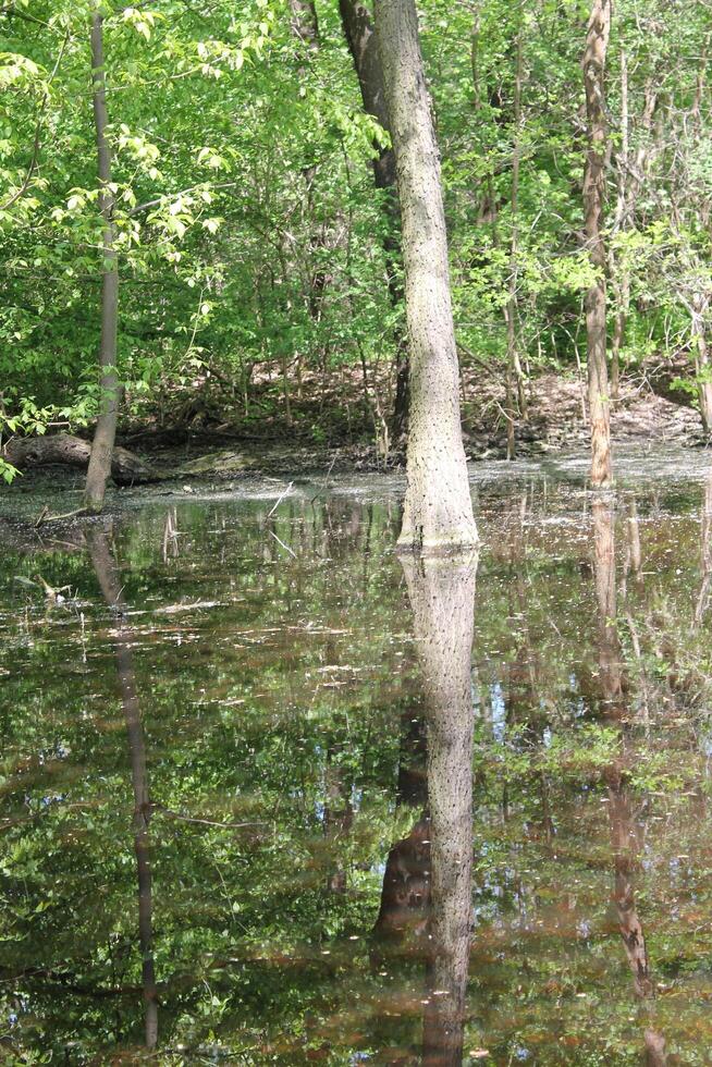 photo of a water theme
