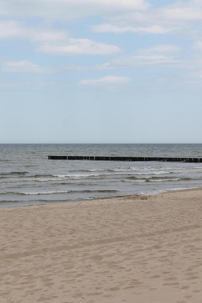 photos of seaside at springtime