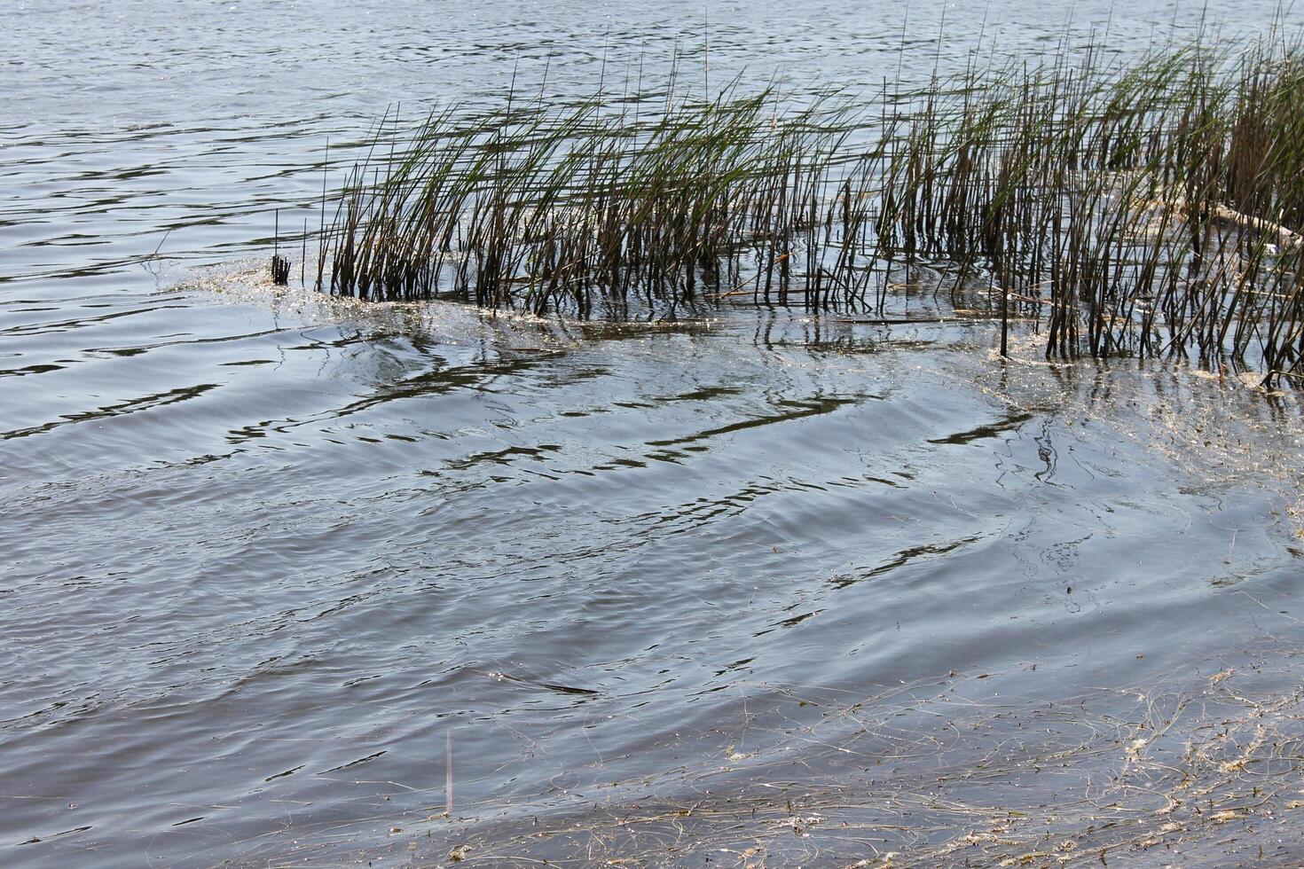 photo of a water theme