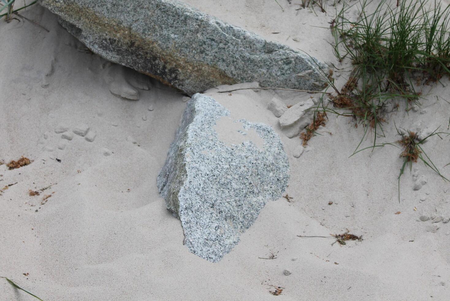 photo of spring beach