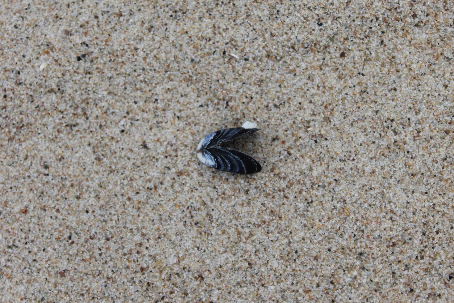 spring beach photo